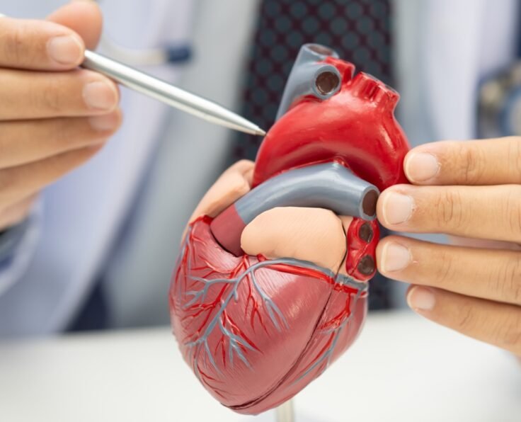 Cardiology