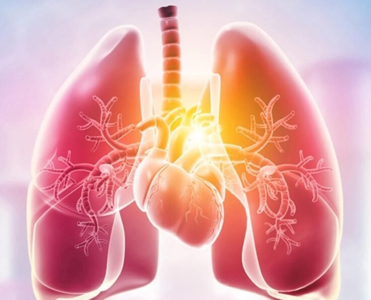 Pulmonology
