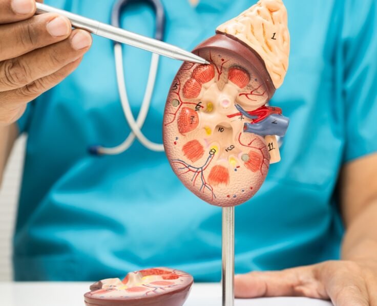 Urology